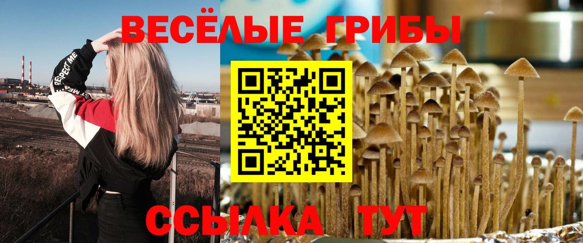 Чайковский  Галлюциногенные грибы Psilocybe  Галлюциногенные грибы Magic Shrooms  Вход с VPN 