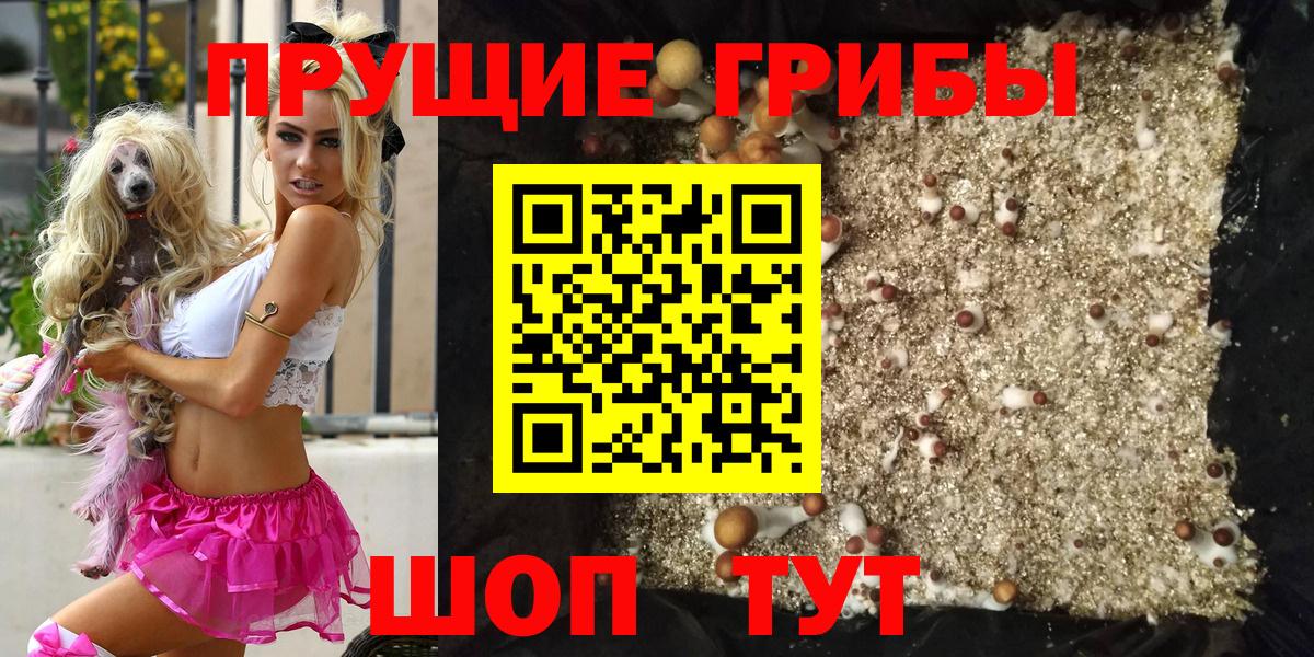 Псилоцибиновые грибы MAGIC MUSHROOMS Чайковский
